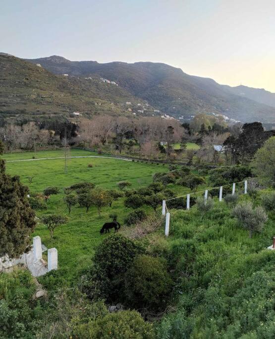 Σπίτι διακοπών Stellinas Pretty House Άνδρος