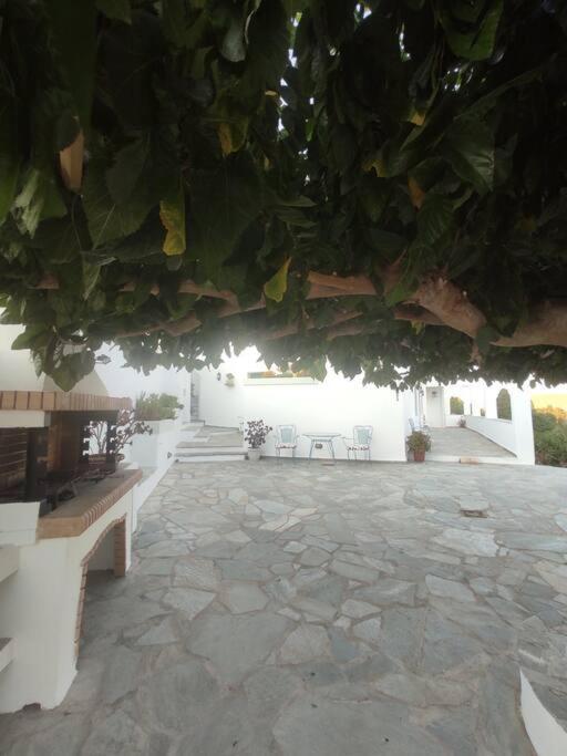 Σπίτι διακοπών Stellinas Pretty House Άνδρος